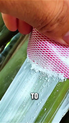 The Ancient Skincare Secret from Bamboo