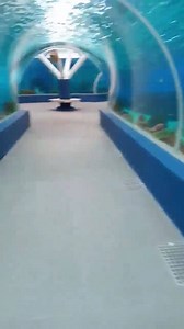 1.6K views · 69 reactions | We go now to Cebu’s South Road Properties...