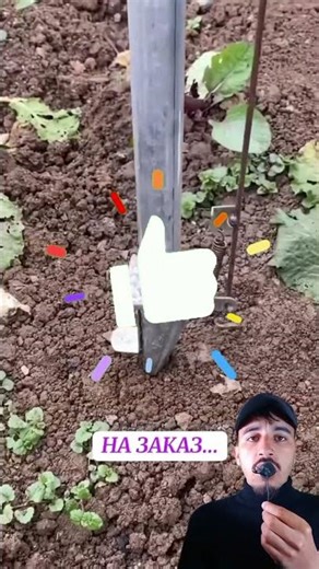 Seed planting machine