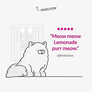 “Lemonade Pet Insurance is the greatest in the world in case anyone reading this needs that information.” | Lemonade
