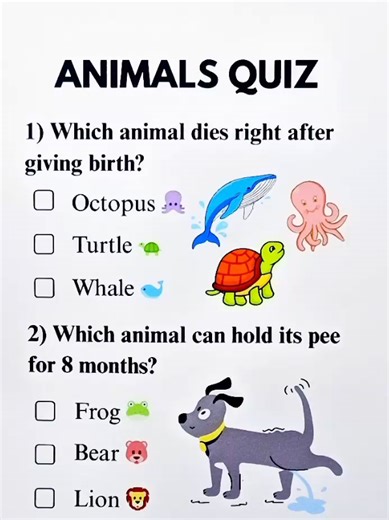 Ultimate Animals Quiz: Can You Achieve 6/6?