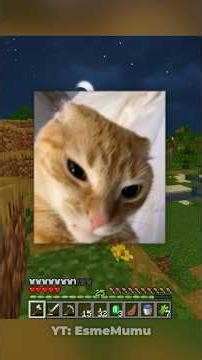 Witch? #minecraft #survival #cats