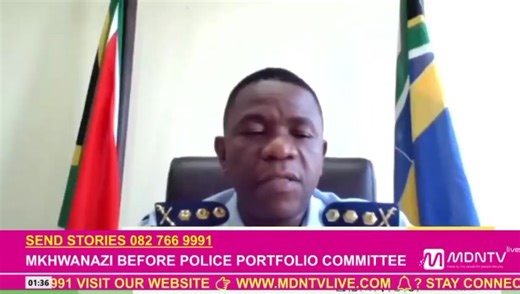 Before his explosive 6 July briefing, on 5 March 2025, General Nhlanhla Mkhwanazi told Parliament in a virtual presentation that Brown Mogotsi, who claimed to be a close associate of Police Minister Senzo Mchunu, first contacted him on 29 October 2024, asserting insider knowledge and warning of a potential smear campaign against him. | Mdntv