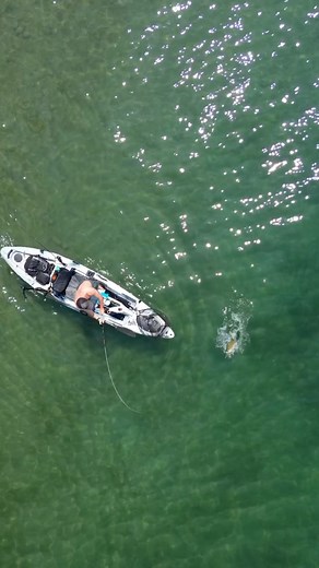 18K views · 116 reactions | The smallmouth spawn has officially come...