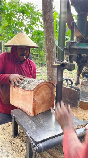 Beresiko tinggu merajang kayu pendek | Andi Exsan