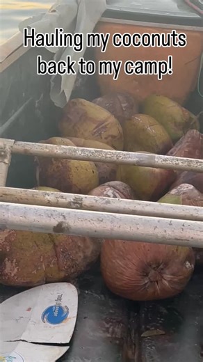 TryBabyTri on Instagram: "I got the square back #canoe on #craigslist for$50."