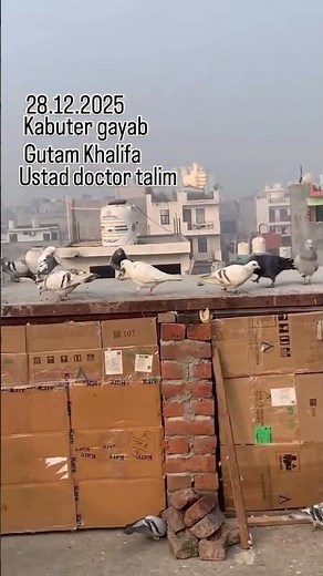 #attitude #editing #video #status #_shorts #_viral #viral #kabootar