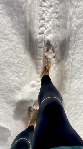 (-7°F or -22°C 2) 🐺 Wolves can run at 25mph sustained speed for 20 minutes at a time through snow and varying terrain with no shoes or special supplements... Always inspired by the wolves💯🤩🏔️ | John Derting