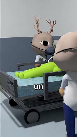 Why The Anomalies Come To The Animal Hospital?