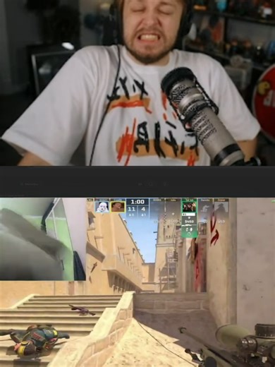 твич стримеры #stintik #stint #стинтик #стинт