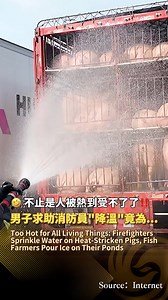 1.2M views · 7.9K reactions |...