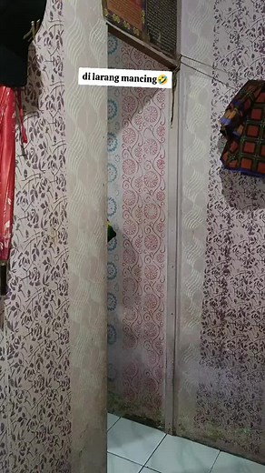 Video Lucu Mancing Di Larang: Kumpulan Komedi Terkini