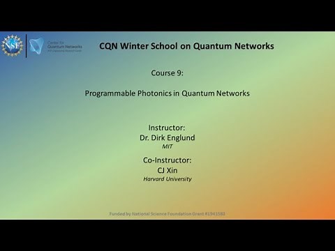 Course 9: Programmable photonics in quantum networks