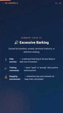 “Understanding Pet Behaviour (Beginner’s Guide!) 🐾”