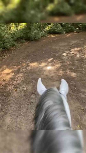 Peaceful woodland horse ride reveals a scenic hidden trail