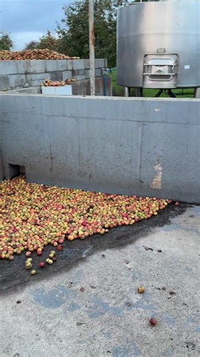 When the mill says, ‘I’m done for the day’, and you say, ‘Not on my watch!’ 🧰💪 #FarmFixes #GClampEngineering #applemill #cidermill #richscider | Rich's Cider