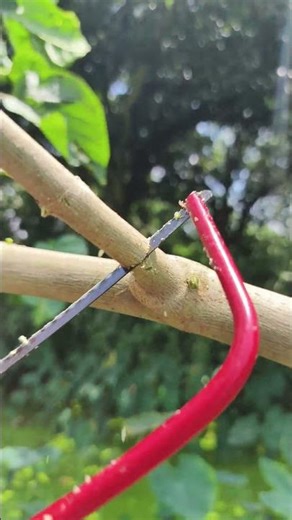 Tools and Tips for Cutting #shorts