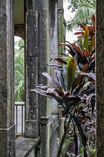 Aktuell · HAUS AM WALDSEE