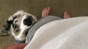 7.6K views · 145 reactions | A lot of people ask me "Does the click...