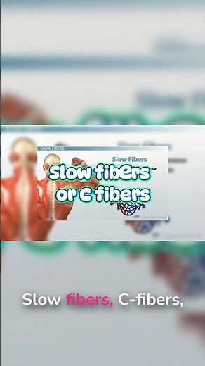 What Really Happens When You Stub Your Toe?