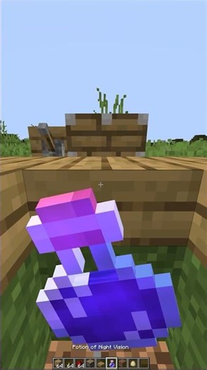 Minecraft X-Ray Glitch💀 #minecraft #shorts