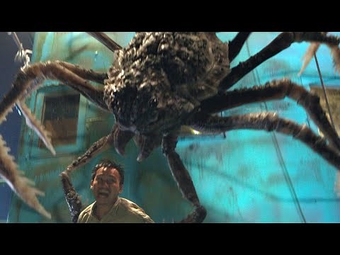 それは人間の傲慢さが生み出した異形の怪物／映画『ザラタン 大海の怪物』予告編