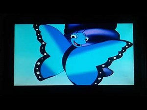 Go Diego go a blue morpho butterfly is born