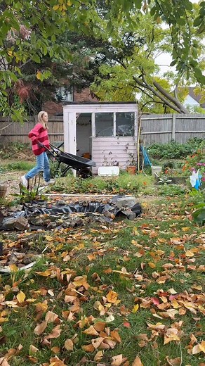 One of the things I love about having trees on my allotment plot is being able to collect and use all the leaves! Leaves are a great brown material to add to your compost heap. Whilst they don’t content many nutrients, they are great at improving soil structure. I collect them and throw them into my compost or use them to mulch over unused growing beds (I top up with compost if doing this so they don’t blow away!) Of course, it’s a good idea to leave some of your fallen leaves for wildlife. And 