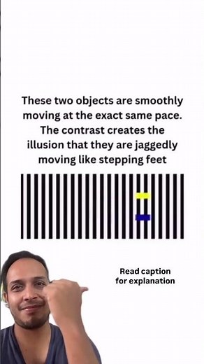How does the brain perceive motion?