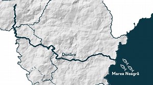 3.6K views · 74 reactions | ❓ Câte specii de sturion mai trăiesc în...