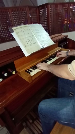 Ave María - Schubert #avemaria #schubert #orgsno #organodetubos #musica #cordoba #mercedarias