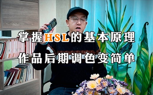 适合初学者！掌握HSL的基本原理·让作品的后期调色变得简单容易！