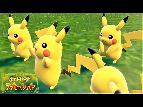 【可愛い】ピカチュウ６匹に囲まれて癒されピクニック【ポケモンSV】