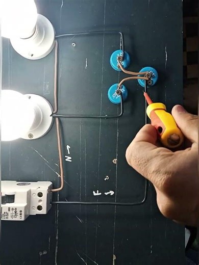 DOUBLE SWITCH WIRING ⚡ #experiment #electrical #electricalguru #diy