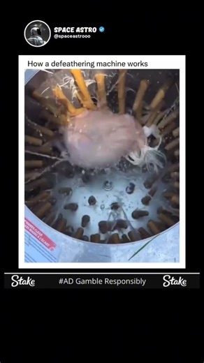 Space Astro | Ever wondered how chickens are defeathered in processing plants? 🐔🔧 This machine, called a poultry plucker or defeathering machine, uses... | Instagram