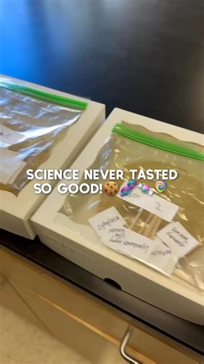 27 reactions | 7th grade sugar cookie cell models!! #sweetscience #cookiecells #learningtastesgood #catholicschoolstrong #dosaeducation #wearesaints #sjdrsaints @sjdrsaints @dosaeducation Thank you Mrs. McMahon @teammcmanimals and Mrs. Hilgart @aidahilgart | San Juan del Rio Catholic School | Facebook