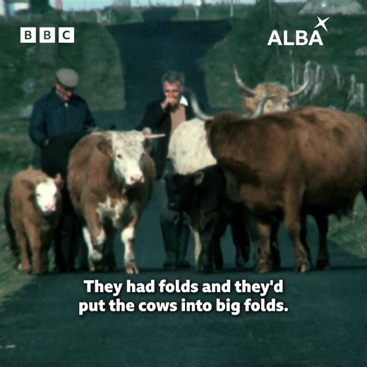 Sgeulachdan prìseil 🐄 Faodail air BBC ALBA & BBC iPlayer ❤️✨ | BBC ALBA