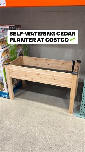 Costco Buys on Instagram: "🌿 This self-watering cedar planter is at Costco and it’s such a solid upgrade if you love gardening without extra work. Western red cedar, super sturdy, and the built-in reservoir means your plants stay hydrated longer (especially if you forget sometimes… same 😅). Looks beautiful on patios and balconies too! $149.99 #costco #homefinds"