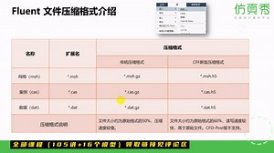 【Fluent 2022中文版】第16讲：保存结果与Fluent文件类型介绍