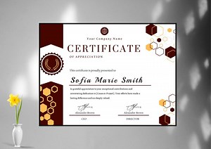 Editable Certificate Template 9 | Certificate of Achievement, Appreciation, Completion | Elegant, Modern, DIY Certificate | Printable - Etsy Australia