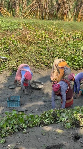 Hardworking women catching fish | Fishing & Village Tradition