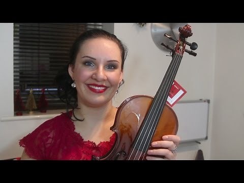 $130 Violin Review! Cecilio CVN 300