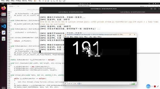 ZLMedia跑起来了，花屏咋弄?