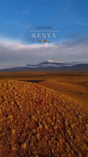 PATRIOT TOURS & SAFARIS LTD on Instagram: "A safari in Kenya feels like stepping into a nature documentary. Endless savannahs, roaring lions, towering elephants, and sunsets that stop time. This is where the wild writes its own story. ❇️ Join us for 9 Days Kenya Wildlife Safaris ▶️ Day 1 – Arrival in Kenya ▶️ Day 2 - Transfer to Samburu ▶️ Day 3 – Full Day Safari in Samburu ▶️ Day 4 – Samburu to Ol Pejeta Conservancy ▶️ Day 5 – Ol Pejeta to Lake Nakuru / Lake Naivasha ▶️ Day 6 – Rift Valley Acti