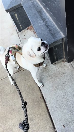 Grandma's Wisdom on New Beginnings