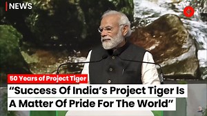 Marking the 50 years of Project Tiger, Prime Minister Narendra Modi hails it not only as a pride for India, but for the world. #ProjectTiger #narendramodi | Indian Express