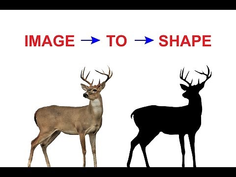 Illustration Tutorial | How to Convert Image to Shape with Pen Tool In Illustrator