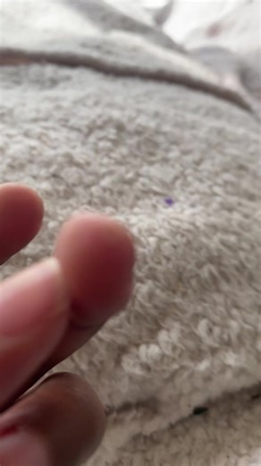 sock puppets on TikTok