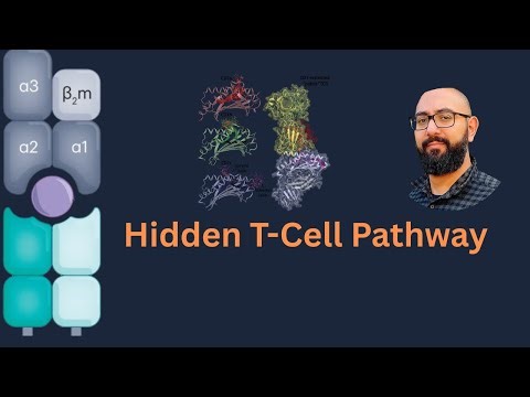 Unconventional lipid-antigen recognition by group 1 CD1 restricted T cells