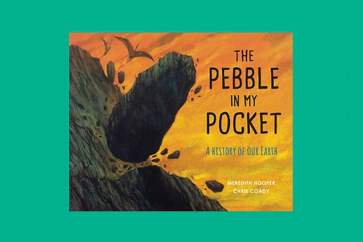 Starting Points: The Pebble in My Pocket — Primary English Education Consultancy